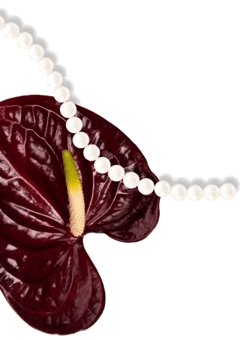Anthurium with Pearls